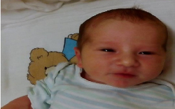 Laki Ákos Dániel-Halászi