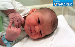 Szentesi Milán, Mosonmagyaróvár