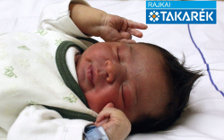 Falussy Csanád, Dunasziget