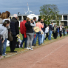 XIV. Greiner Szigetköz Félmaraton