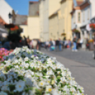 Szent Mihály napok (Fotó: Nagy Mária)