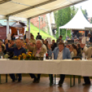 Szigetköz ízei, Vármegye borai Fesztivál (vasárnap) (Fotó: Horváth Attila)