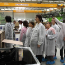 Kőrisfacsemetéket ültettek a diákok a Nolato Magyarország Kft telephelyén