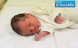 Demjén Dávid, Mosonmagyaróvár