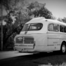 Pillangó Óvoda és Mini Bölcsőde - múlt idéző utazás egy Ikarus 55-ös buszon