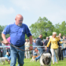 CAC kutyakiállítás (Fotó: Nagy Mária)