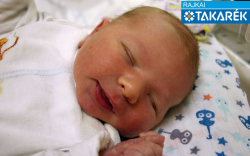 Borbély Botond, Darnózseli