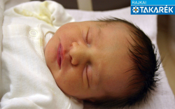 Szédely Sára Ilona, Mosonmagyaróvár