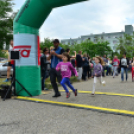 XII. Greiner Szigetköz Minimaraton (Fotó: Horváth Attila)