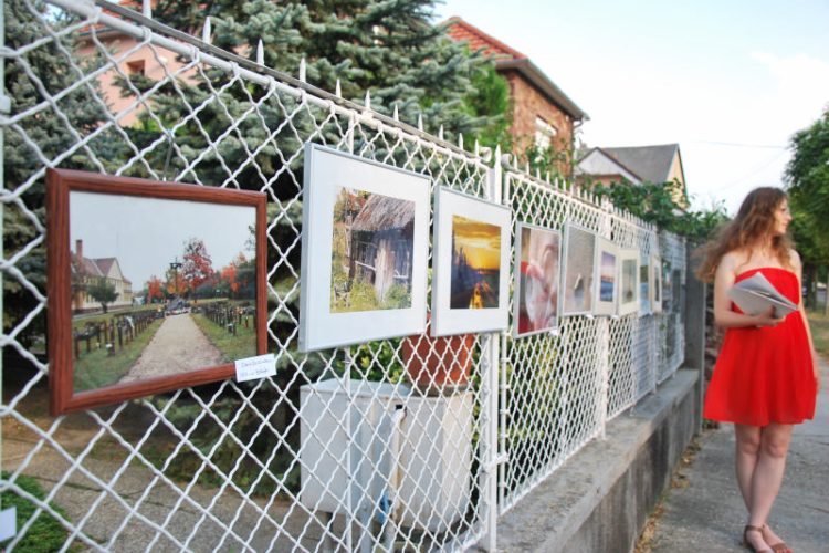 Kerítéstárlat (Fotó: Nagy Mária)