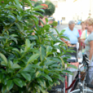 KULT-UTCA - Egészségnap másképp