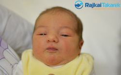 Gaál Zsombor Tamás, 3570 gr. Móvár