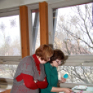 Ujhelyi Imre Általános Iskola - Életvitel és Gyakorlati ismeretek verseny megyei fordulója