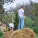 Parasztolimpia 2013 - 1 (Fotó: Nagy Mária)