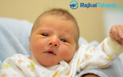 Mészáros Léna Zorka, Halászi