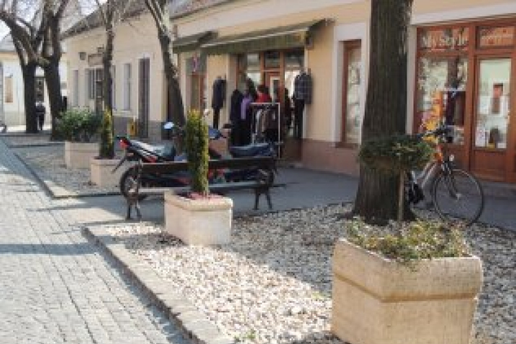 Virágedények növényesítése