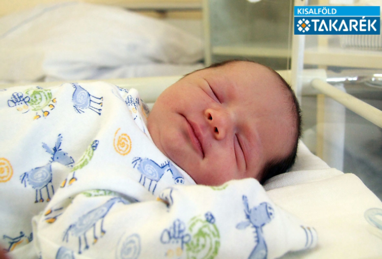 Feiler Balázs András, Mosonmagyaróvár