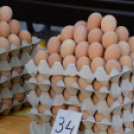 KULT-UTCA - Egészségnap másképp