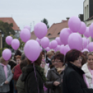 Egészség Hídja Összefogás - Lajtahidi séta