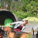 CAC kutyakiállítás (Fotó: Nagy Mária)