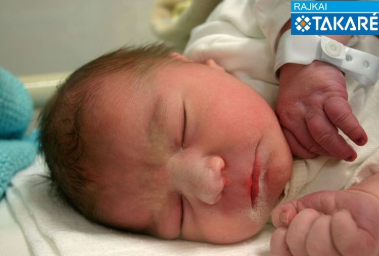 Gaszner Bence, Mosonmagyaróvár