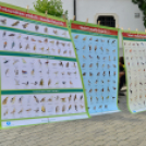 Kult Gála a Kult-Utcában (Fotó: Horváth Attila)