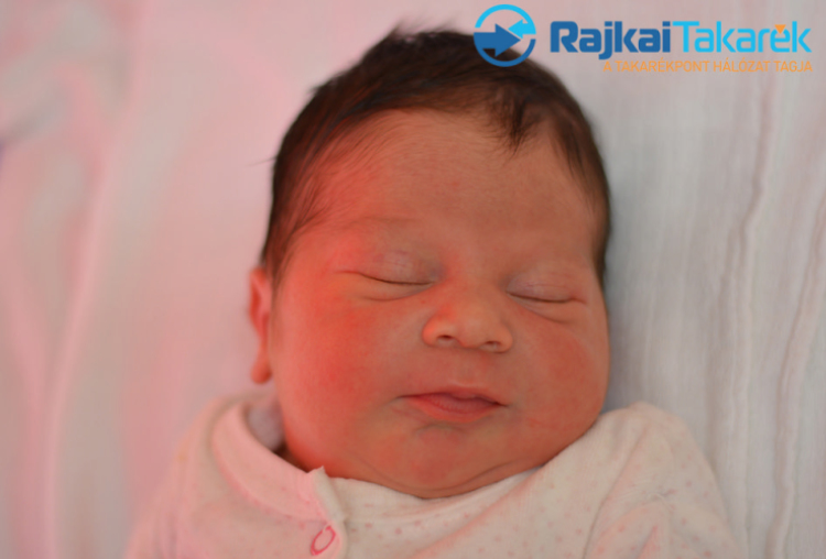 Erdélyi Rajmund, Mosonmagyaróvár