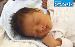 Hackl Márton, Mosonmagyaróvár