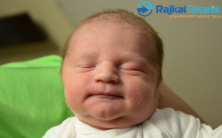 Szabó Dániel Attila, 3310 gr. Mosonmagyaró