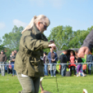 CAC kutyakiállítás (Fotó: Nagy Mária)