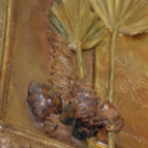 XVI. Nemzetközi művésztalálkozó, Blitz kiállítás és alkotótábor (Fotó: Bánhegyi István)