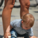 Belvárosi virágút (Fotó: Nagy Mária)