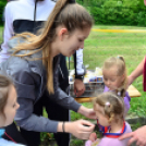 XII. Greiner Szigetköz Minimaraton (Fotó: Horváth Attila)