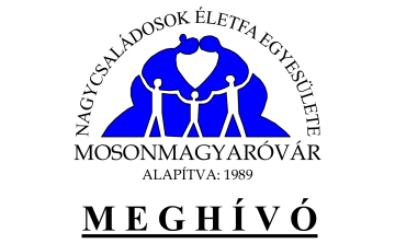 Nagycsaládosok Életfa Egyesületének 25 éves jubileuma