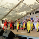 Szigetköz ízei, vármegye borai fesztivál / VÁRMEGYE SZÉPE - VÁRMEGYE HANGJA (Fotó: Horváth Attila)