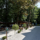 Sági Szilárd az Englerben (Fotó: Horváth Attila)