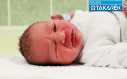 Telek Olivér, Kimle