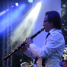 Tiszta Amerika - Vár-tó party