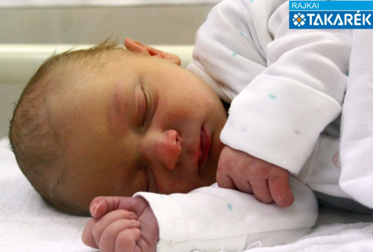 Telkes Levente, Hegyeshalom