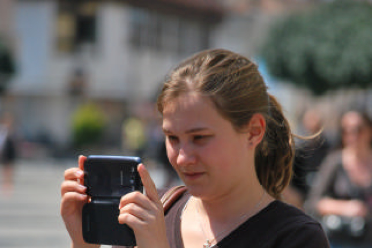 Belvárosi virágút (Fotó: Nagy Mária)