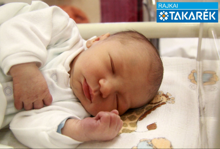 Földes Mátyás, Mosonmagyaróvár