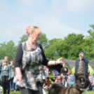 CAC kutyakiállítás (Fotó: Nagy Mária)