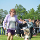 CAC kutyakiállítás (Fotó: Nagy Mária)