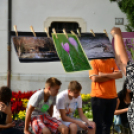 Kult Gála a Kult-Utcában (Fotó: Horváth Attila)