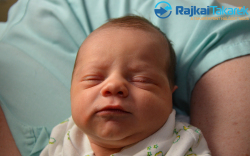 Soós Dominik, 3030 gr. Mosonudvar