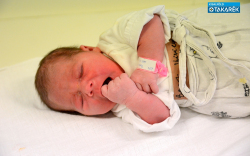 Berezi Vivien, Dunasziget