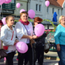 Lajta hídi séta 2015 (fotó: Patács Judit)