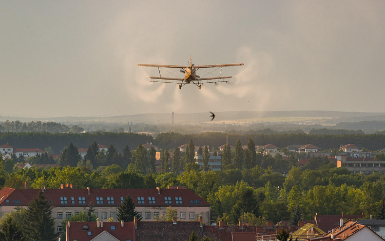 Mérséklődik a szúnyogártalom - megyénkben folytatódik a gyérítés