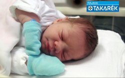 Kovarek Zádor, Dunasziget