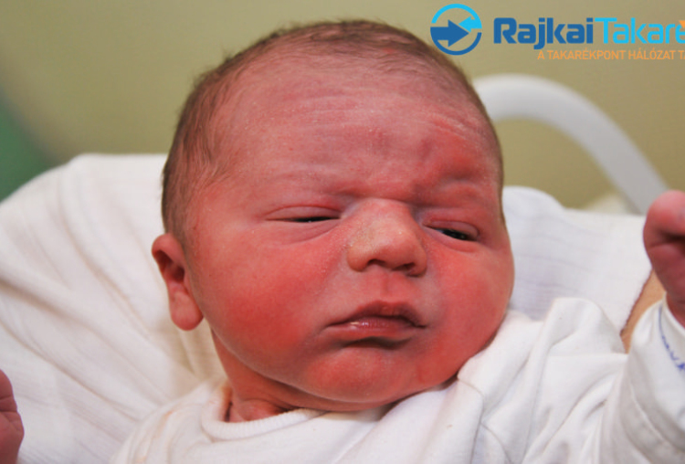 Andorka András, 3420 gr. Bősárkány